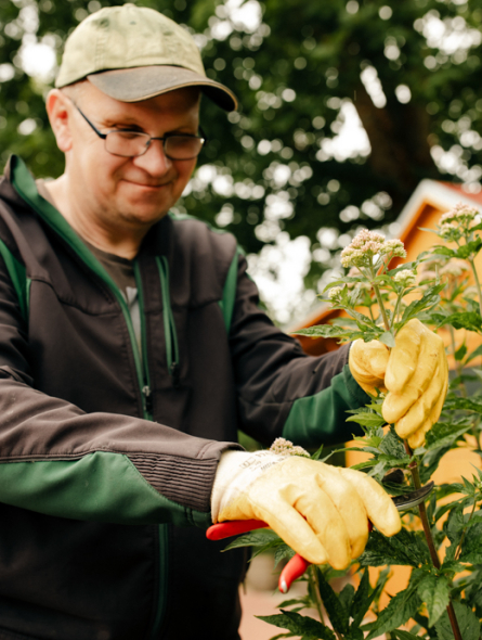 Ein Mann schneidet Blumen